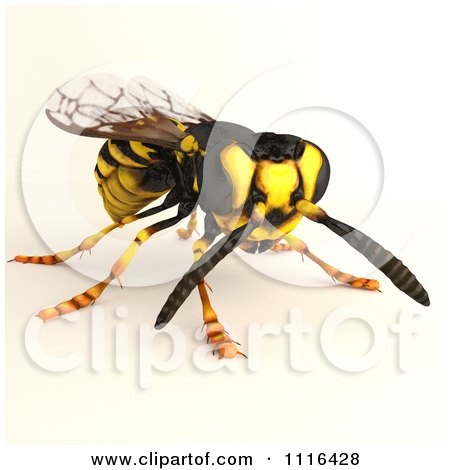 Clipart 3d Wasp Bee 4 - Royalty Free CGI Illustration by Leo Blanchette
