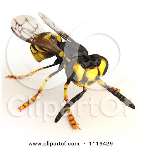 Clipart 3d Wasp Bee 5 - Royalty Free CGI Illustration by Leo Blanchette