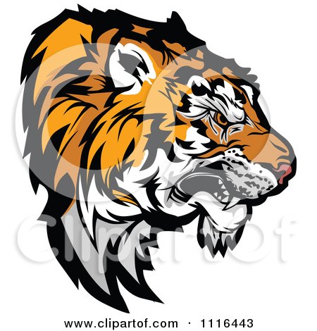 Clipart Growling Tiger Mascot Head Profile - Royalty Free Vector Illustration by Chromaco