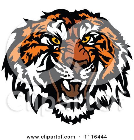 Clipart Growling Tiger Mascot Head - Royalty Free Vector Illustration by Chromaco
