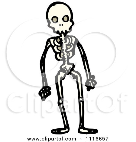 Clipart Human Skeleton - Royalty Free Vector Illustration by lineartestpilot