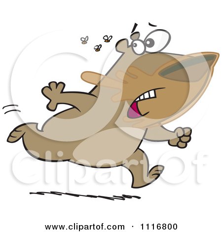 Cartoon Of A Bear With Honey On His Face Running From Angry Bees - Royalty Free Vector Clipart by toonaday