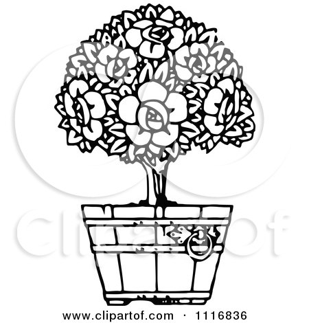 Clipart Of A Retro Vintage Black And White Flowering Shrub In A Pot 2 - Royalty Free Vector Illustration by Prawny Vintage