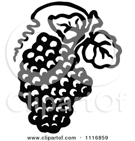 Clipart Of A Retro Vintage Black And White Bunch Of Grapes With Leaves 2 - Royalty Free Vector Illustration by Prawny Vintage
