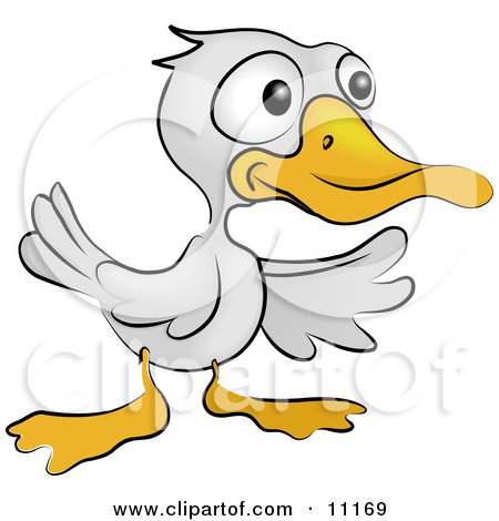 a Cute White Ducky With an Orange Beak and Feet Clipart Illustration by AtStockIllustration