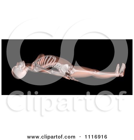 Clipart Of A 3d Female Medical Skeleton Arching Her Back In A Yoga Position - Royalty Free CGI Illustration by KJ Pargeter
