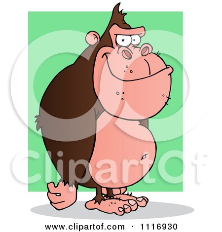 Clipart Of A Standing Brown Gorilla Over A Green Rectangle - Royalty Free Vector Illustration by Hit Toon