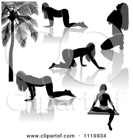 Vector Clipart Of Black And Gray Provocative Women Silhouettes And Reflections - Royalty Free Graphic Illustration by dero