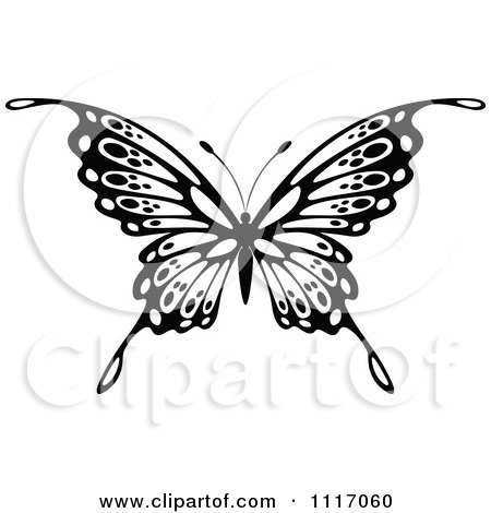 Vector Clipart Black And White Butterfly 5 - Royalty Free Graphic Illustration by Vector Tradition SM