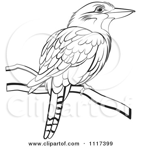 Clipart Of A Black And White Perched Kookaburra Bird - Royalty Free Vector Illustration by Lal Perera
