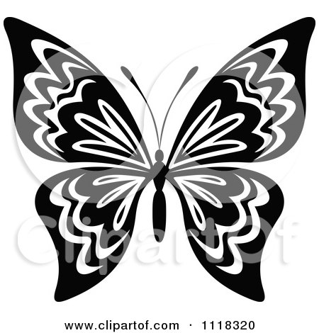 Clipart Of A Black And White Butterfly 9 - Royalty Free Vector Illustration by Vector Tradition SM