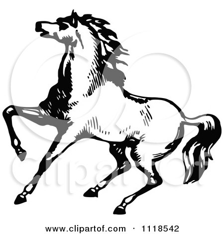 Clipart Of A Retro Vintage Black And White Horse 5 - Royalty Free Vector Illustration by Prawny Vintage