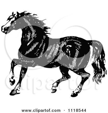 Clipart Of A Retro Vintage Black And White Horse 1 - Royalty Free Vector Illustration by Prawny Vintage