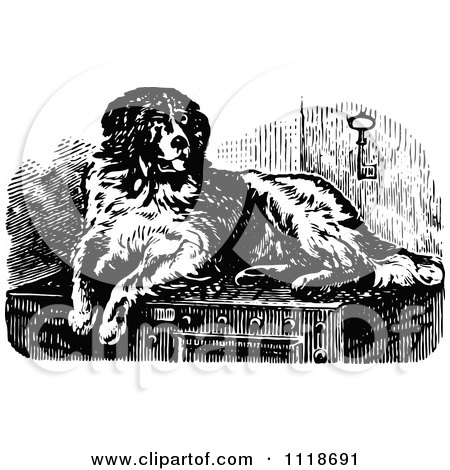 Clipart Of A Retro Vintage Black And White St Bernard Dog - Royalty Free Vector Illustration by Prawny Vintage