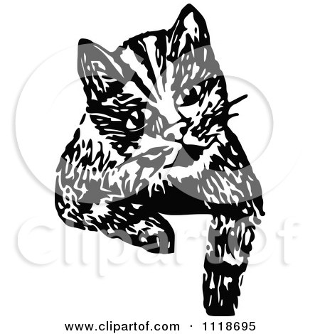 Clipart Of A Retro Vintage Black And White Cat Looking Over A Surface - Royalty Free Vector Illustration by Prawny Vintage
