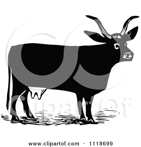 Clipart Of A Retro Vintage Black And White Cow 3 - Royalty Free Vector Illustration by Prawny Vintage