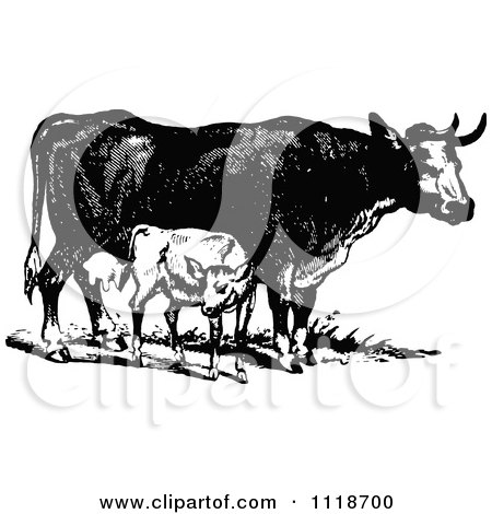Clipart Of A Retro Vintage Black And White Cow And Calf - Royalty Free Vector Illustration by Prawny Vintage