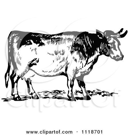 Clipart Of A Retro Vintage Black And White Cow 2 - Royalty Free Vector Illustration by Prawny Vintage