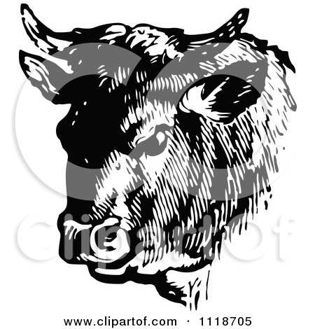 Clipart Of A Retro Vintage Black And White Cow Portrait 2 - Royalty Free Vector Illustration by Prawny Vintage