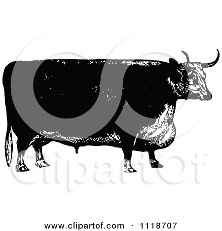 Clipart Of A Retro Vintage Black And White Bull 3 - Royalty Free Vector Illustration by Prawny Vintage