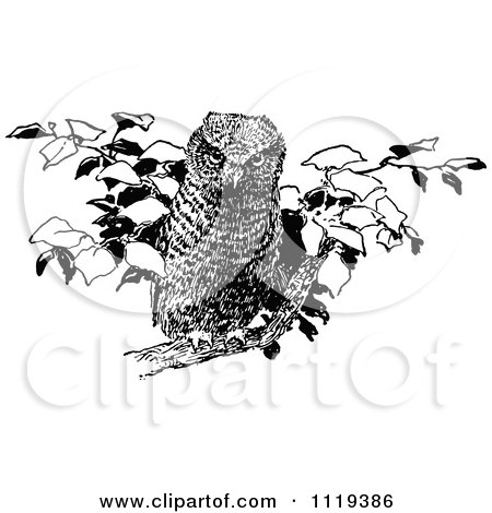 Clipart Of A Retro Vintage Black And White Perched Owl 1 - Royalty Free Vector Illustration by Prawny Vintage