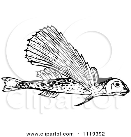 Clipart Of A Retro Vintage Black And White Flying Fish - Royalty Free Vector Illustration by Prawny Vintage