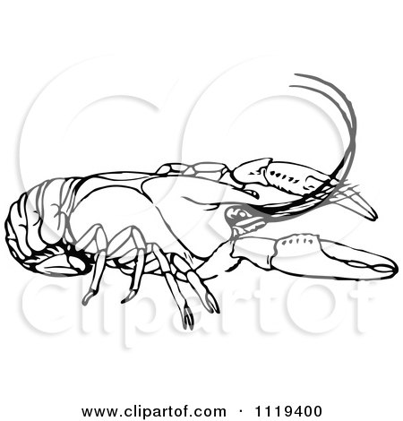 Clipart Of A Retro Vintage Black And White Crayfish - Royalty Free Vector Illustration by Prawny Vintage