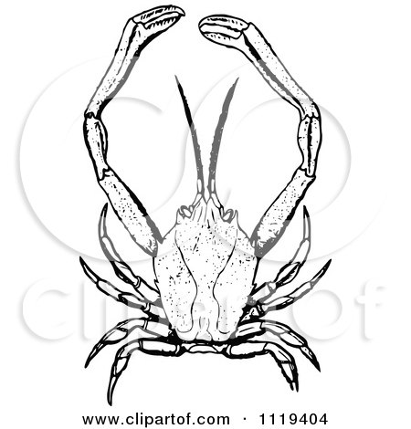 Clipart Of A Retro Vintage Black And White Masked Crab - Royalty Free Vector Illustration by Prawny Vintage
