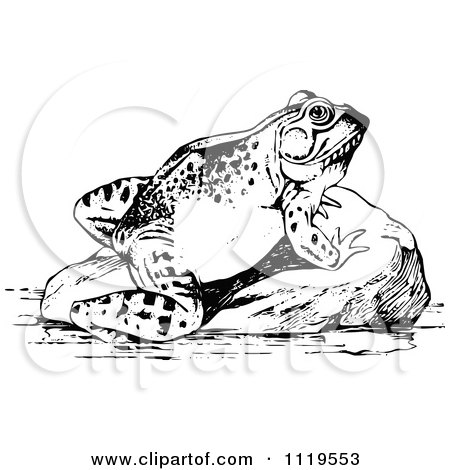 Clipart Of A Retro Vintage Black And White Frog Sun Bathing - Royalty Free Vector Illustration by Prawny Vintage
