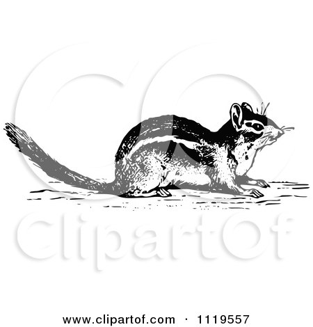 Clipart Of A Retro Vintage Black And White Chipmunk - Royalty Free Vector Illustration by Prawny Vintage