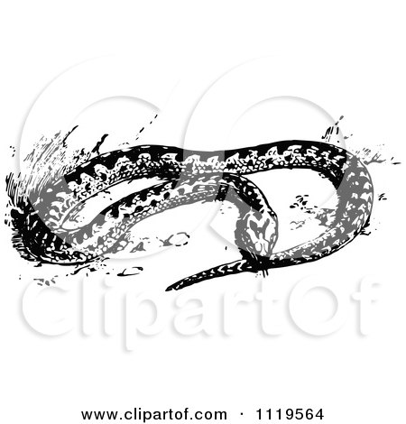 Clipart Of A Retro Vintage Black And White Adder Snake - Royalty Free Vector Illustration by Prawny Vintage