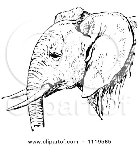 Clipart Of A Retro Vintage Black And White African Elephant - Royalty Free Vector Illustration by Prawny Vintage