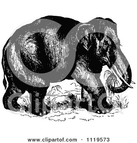 Clipart Of A Retro Vintage Black And White Wild Elephant - Royalty Free Vector Illustration by Prawny Vintage