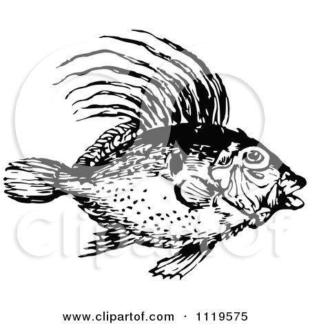 Clipart Of A Retro Vintage Black And White Dory Fish - Royalty Free Vector Illustration by Prawny Vintage