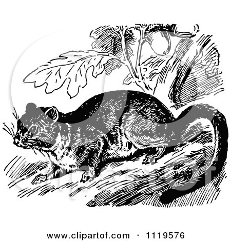 Clipart Of A Retro Vintage Black And White Dormouse - Royalty Free Vector Illustration by Prawny Vintage