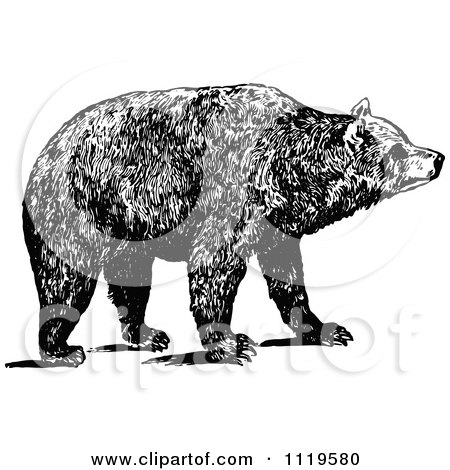 Clipart Of A Retro Vintage Black And White Brown Bear - Royalty Free Vector Illustration by Prawny Vintage