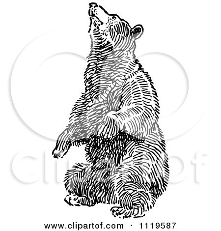 Clipart Of A Retro Vintage Black And White Bear Balancing On Its Hind Legs - Royalty Free Vector Illustration by Prawny Vintage