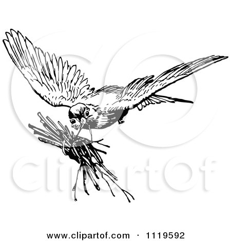 Clipart Of A Retro Vintage Black And White Bird With Twigs - Royalty Free Vector Illustration by Prawny Vintage