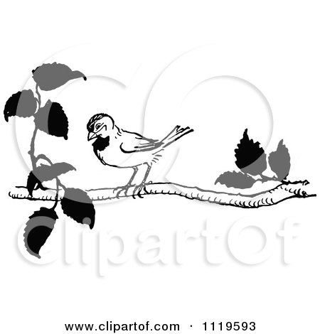 Clipart Of A Retro Vintage Black And White Bird On A Branch - Royalty Free Vector Illustration by Prawny Vintage