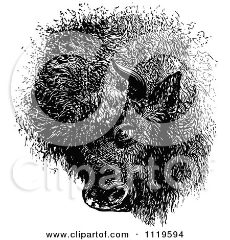 Clipart Of A Retro Vintage Black And White Buffalo Head - Royalty Free Vector Illustration by Prawny Vintage