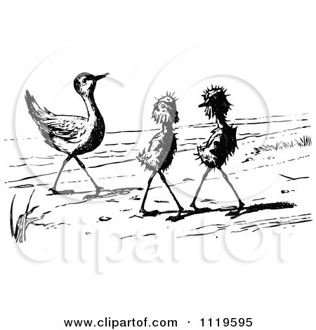 Clipart Of A Retro Vintage Black And White Ugly Birds On A Beach 1 - Royalty Free Vector Illustration by Prawny Vintage