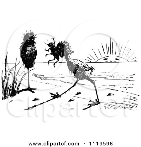 Clipart Of A Retro Vintage Black And White Ugly Birds On A Beach 2 - Royalty Free Vector Illustration by Prawny Vintage