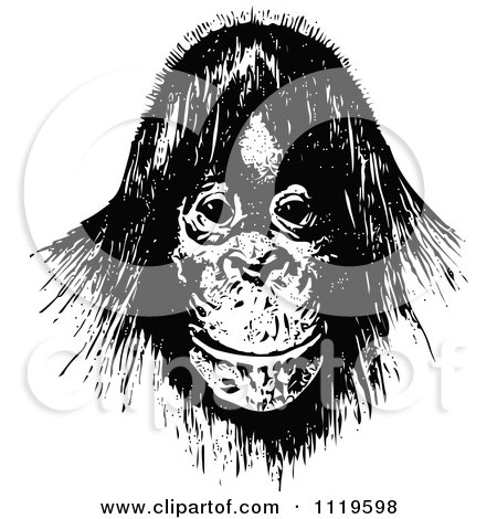 Clipart Of A Retro Vintage Black And White Orangutan - Royalty Free Vector Illustration by Prawny Vintage