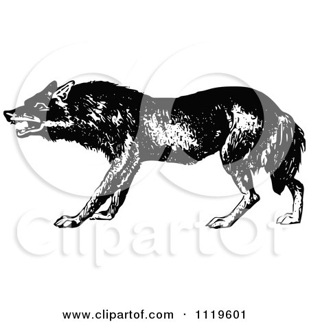 Clipart Of A Retro Vintage Black And White Wolf 2 - Royalty Free Vector Illustration by Prawny Vintage