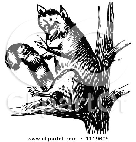 Clipart Of A Retro Vintage Black And White Fox In A Tree - Royalty Free Vector Illustration by Prawny Vintage