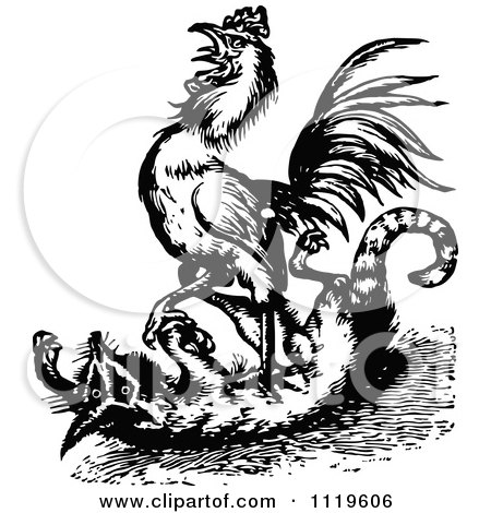 Clipart Of A Retro Vintage Black And White Rooster Attacking A Fox - Royalty Free Vector Illustration by Prawny Vintage