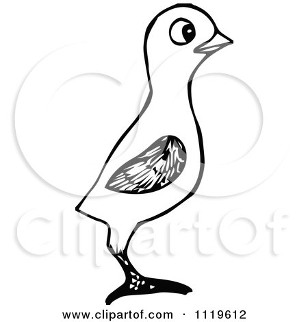Clipart Of A Retro Vintage Black And White Bird - Royalty Free Vector Illustration by Prawny Vintage