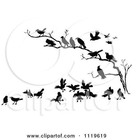 Clipart Of Retro Vintage Black And White Crows In A Bare Tree - Royalty Free Vector Illustration by Prawny Vintage