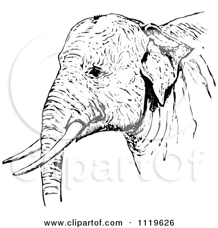 Clipart Of A Retro Vintage Black And White Indian Elephant - Royalty Free Vector Illustration by Prawny Vintage