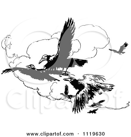 Clipart Of Retro Vintage Black And White Crows Flying - Royalty Free Vector Illustration by Prawny Vintage